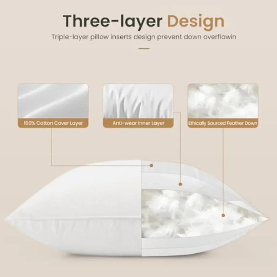 Pillows 20x20 Euro Pillow Set of 2