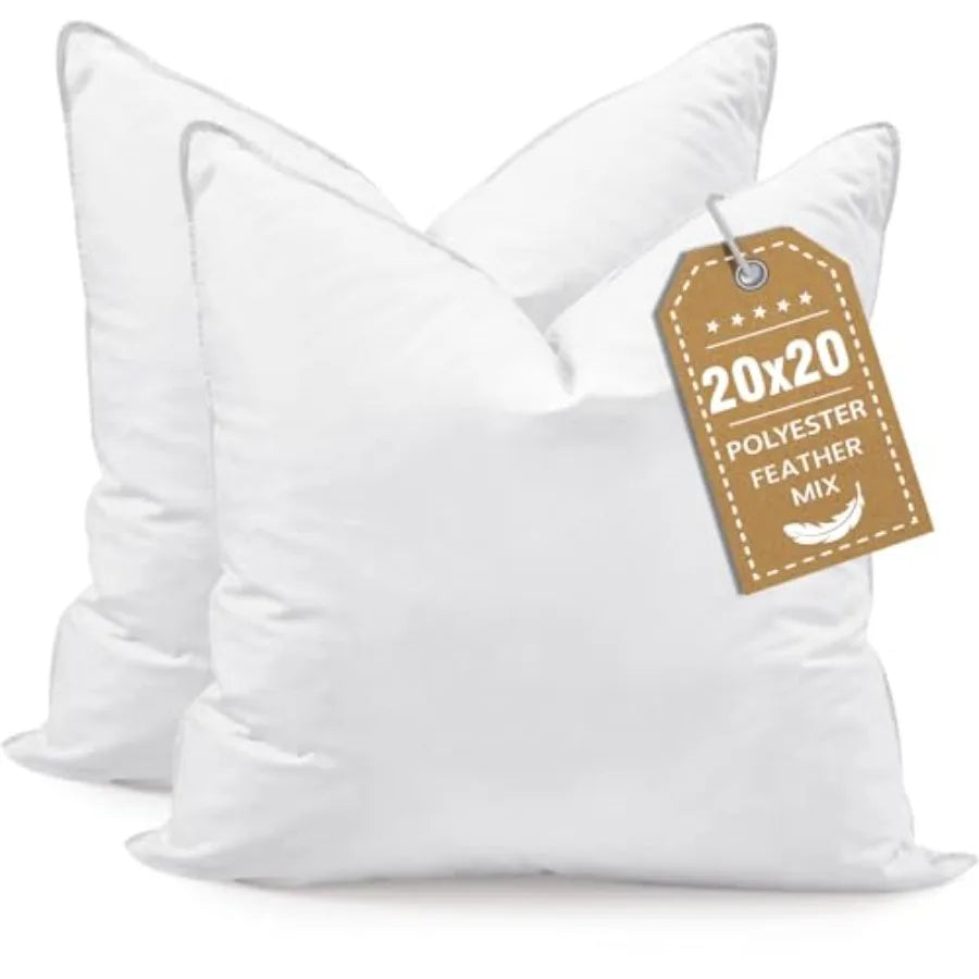 Pillows 20x20 Euro Pillow Set of 2