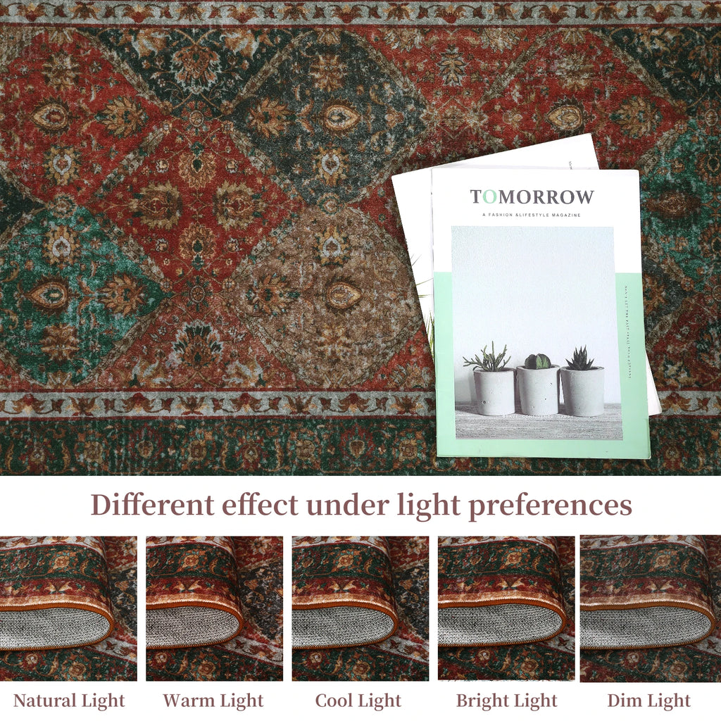 Rug for Living Room, Machine Washable