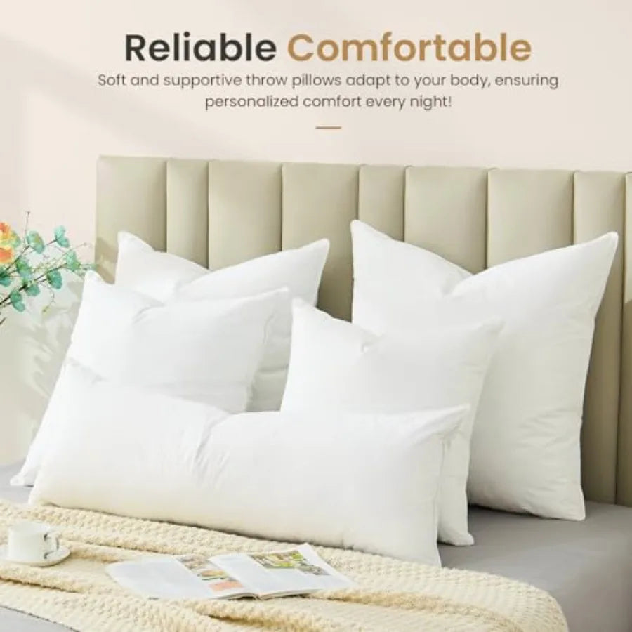 Pillows 20x20 Euro Pillow Set of 2
