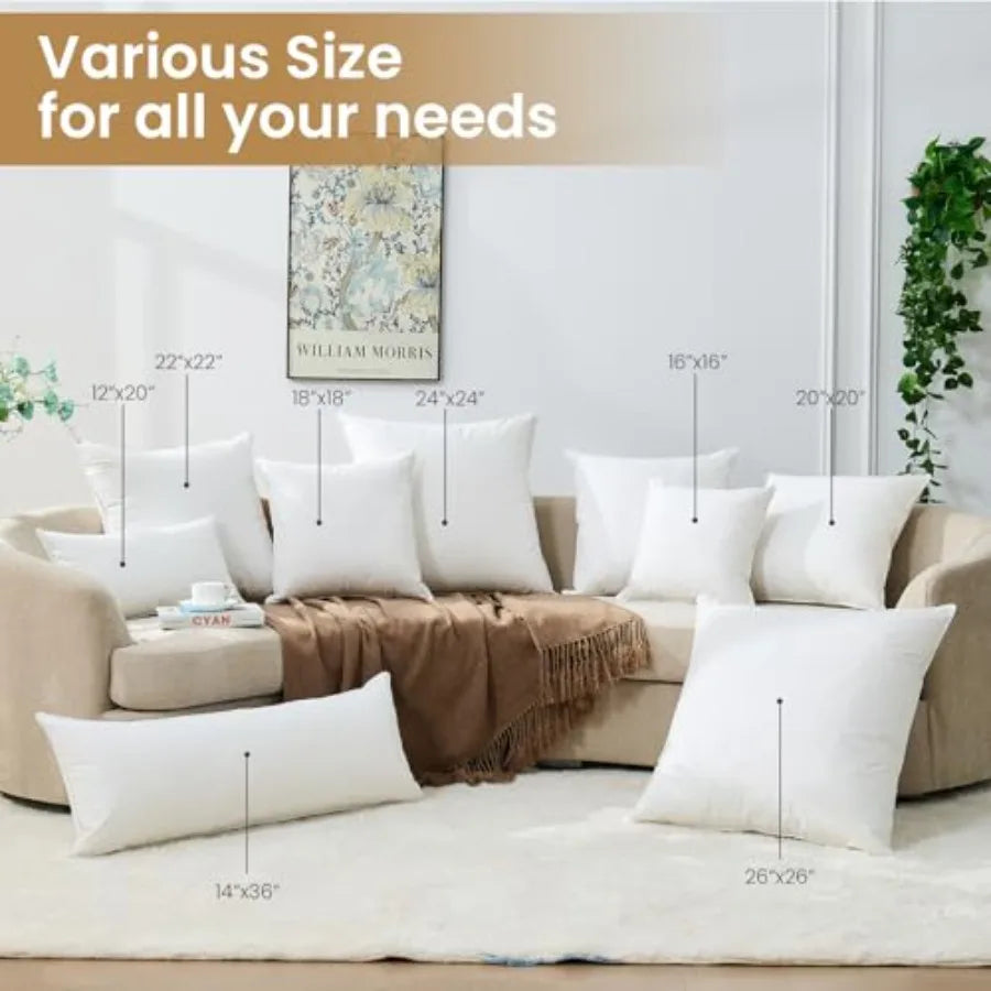 Pillows 20x20 Euro Pillow Set of 2